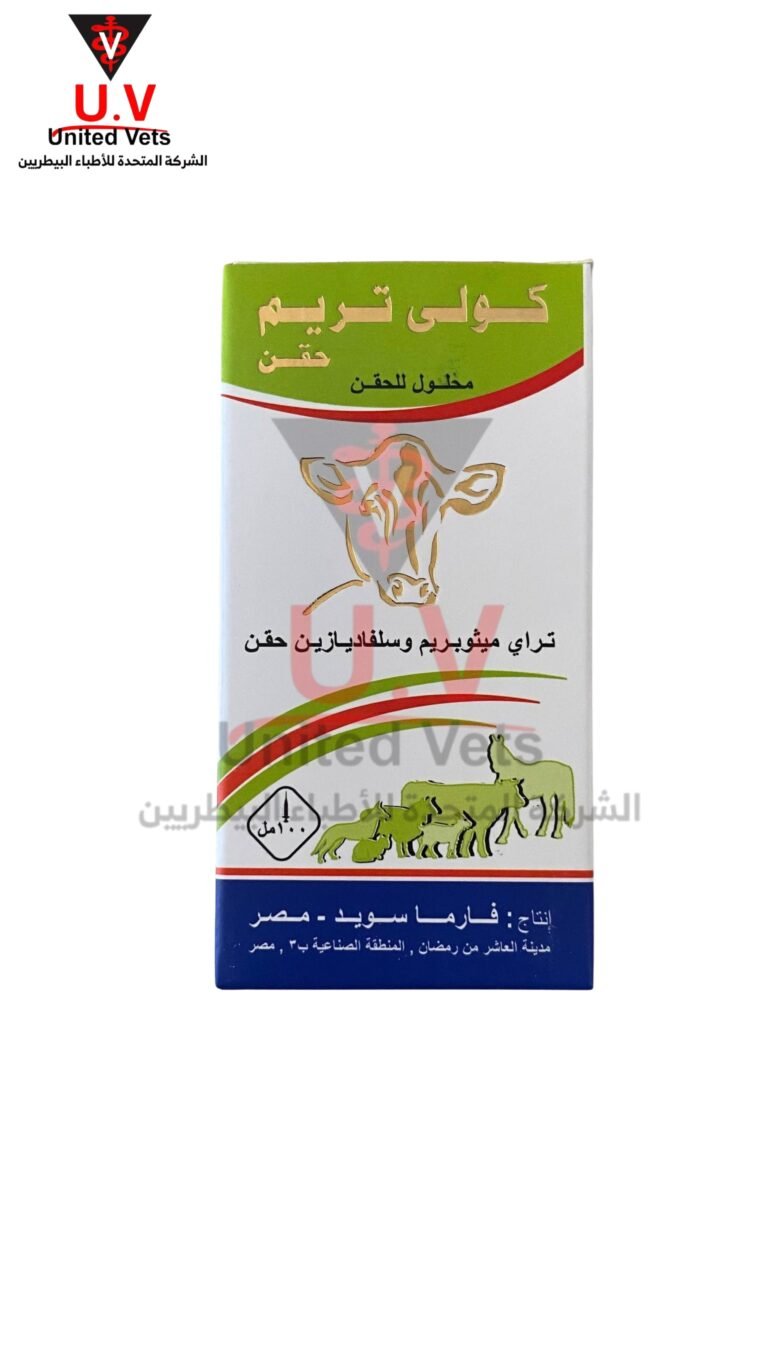 untitled design 2026 09 13t103737.393