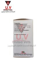 untitled design 2026 09 13t105547.632