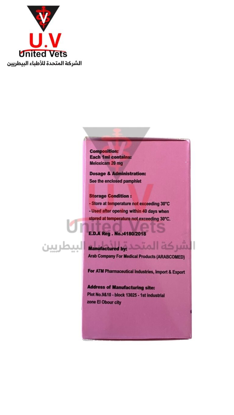 untitled design 2026 09 13t110842.043