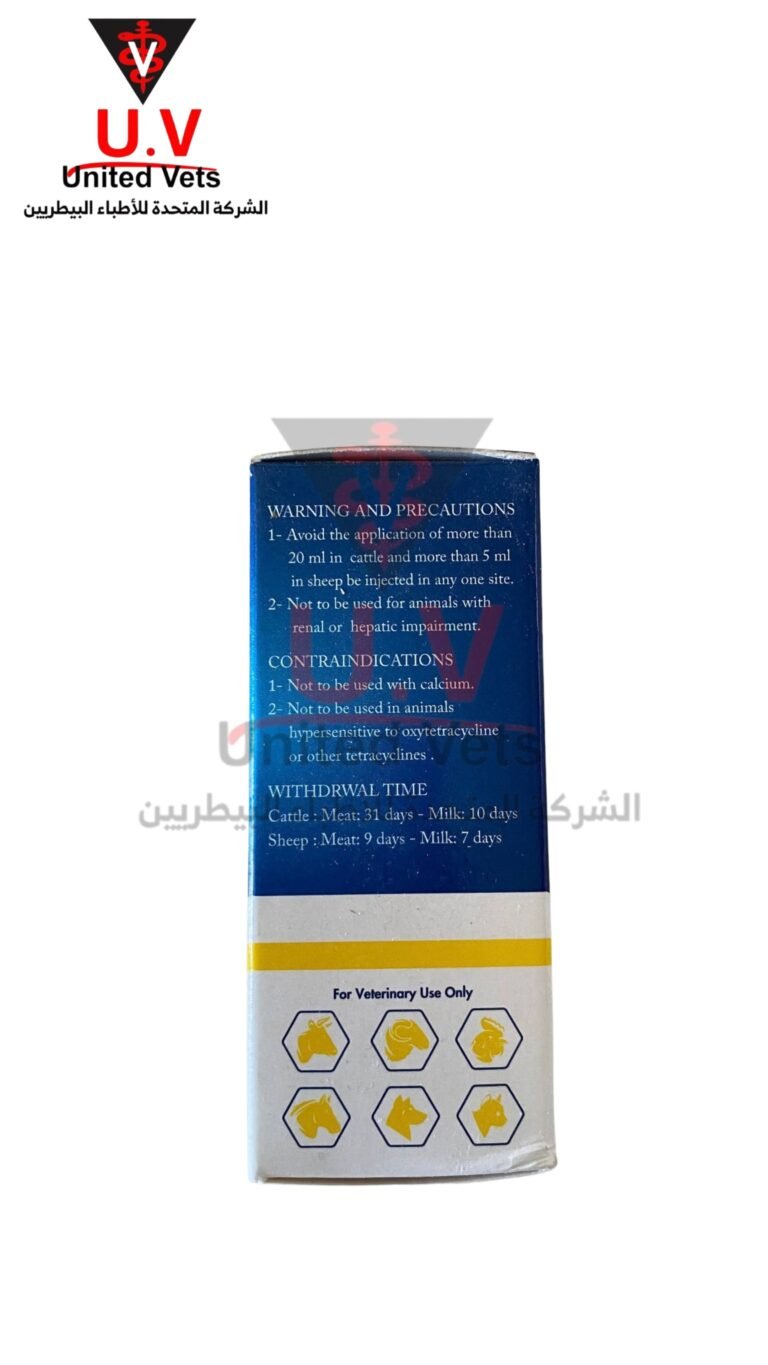 untitled design 2026 09 13t110905.372