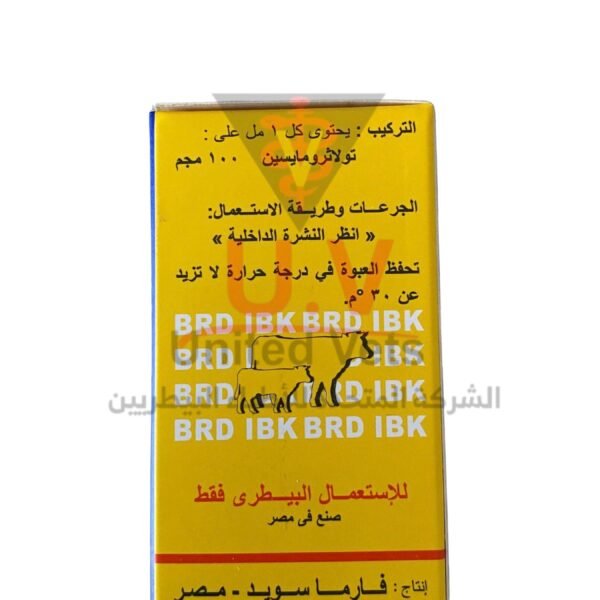 untitled design 2026 09 13t111509.504