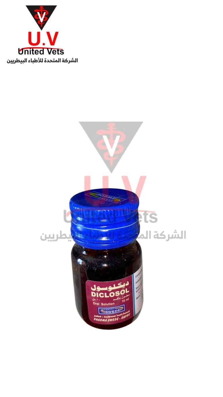 untitled design 2026 09 13t111636.398