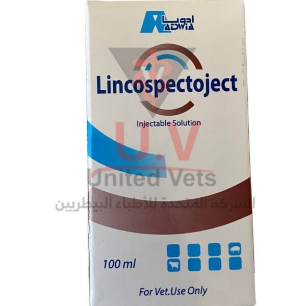 untitled design 2026 09 13t112159.920