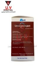 untitled design 2026 09 13t112205.394