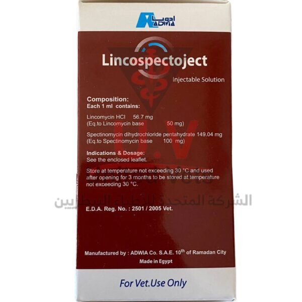 untitled design 2026 09 13t112205.394