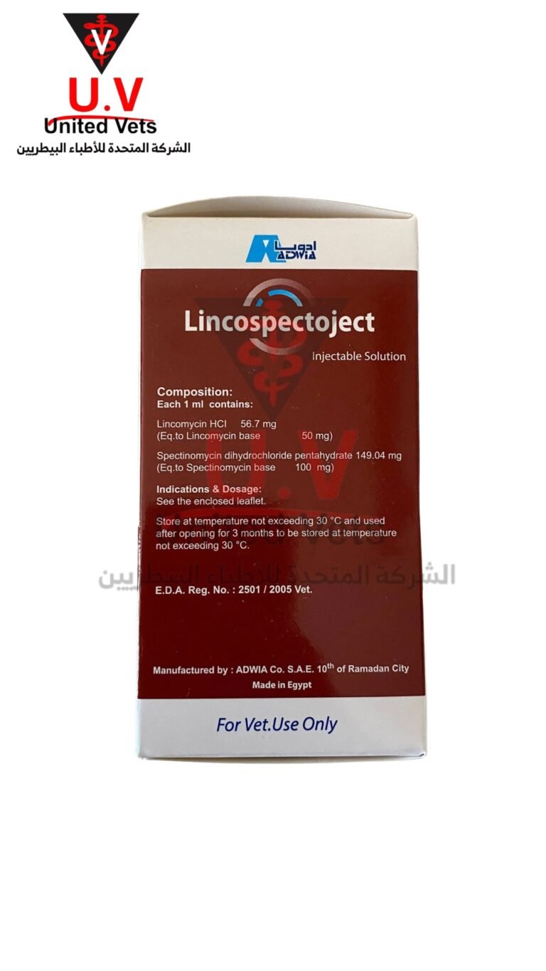 untitled design 2026 09 13t112205.394