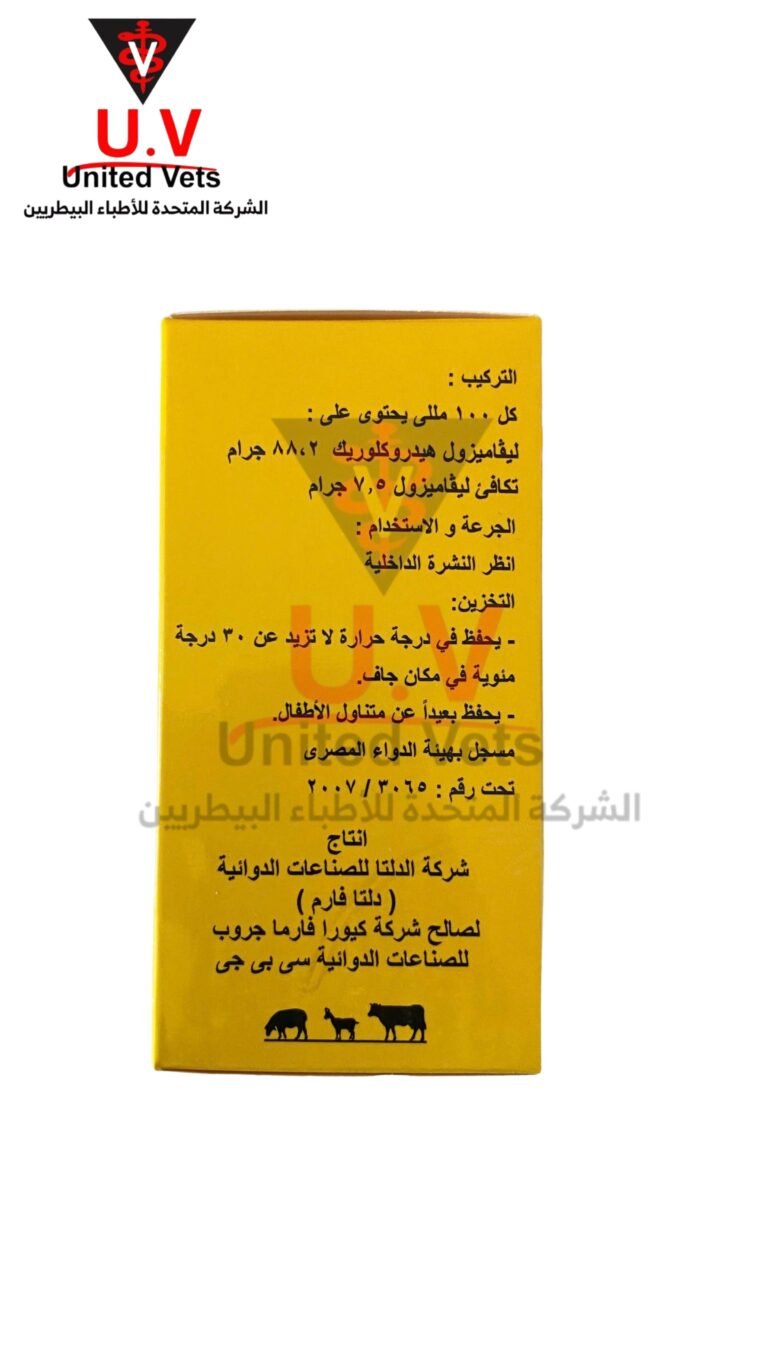 untitled design 2026 09 13t113707.730