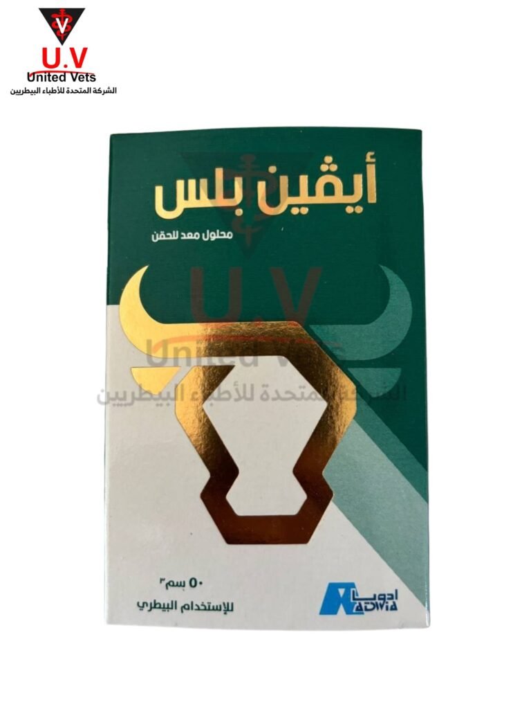 untitled design 2026 09 13t121333.426