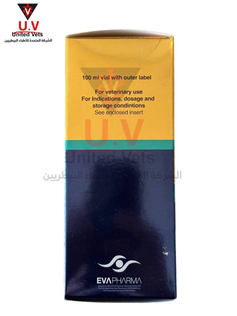 untitled design 2026 09 13t121344.431