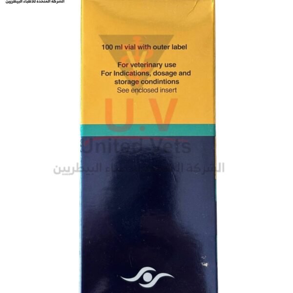 untitled design 2026 09 13t121344.431