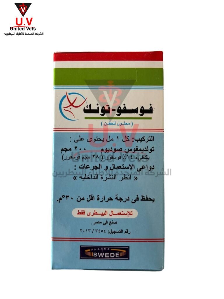 untitled design 2026 09 13t122714.384