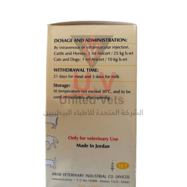 untitled design 2026 09 13t123452.464