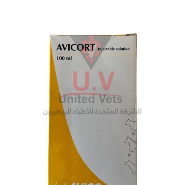 untitled design 2026 09 13t123458.418