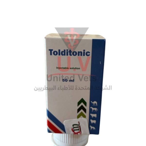 untitled design 2026 09 13t131840.416