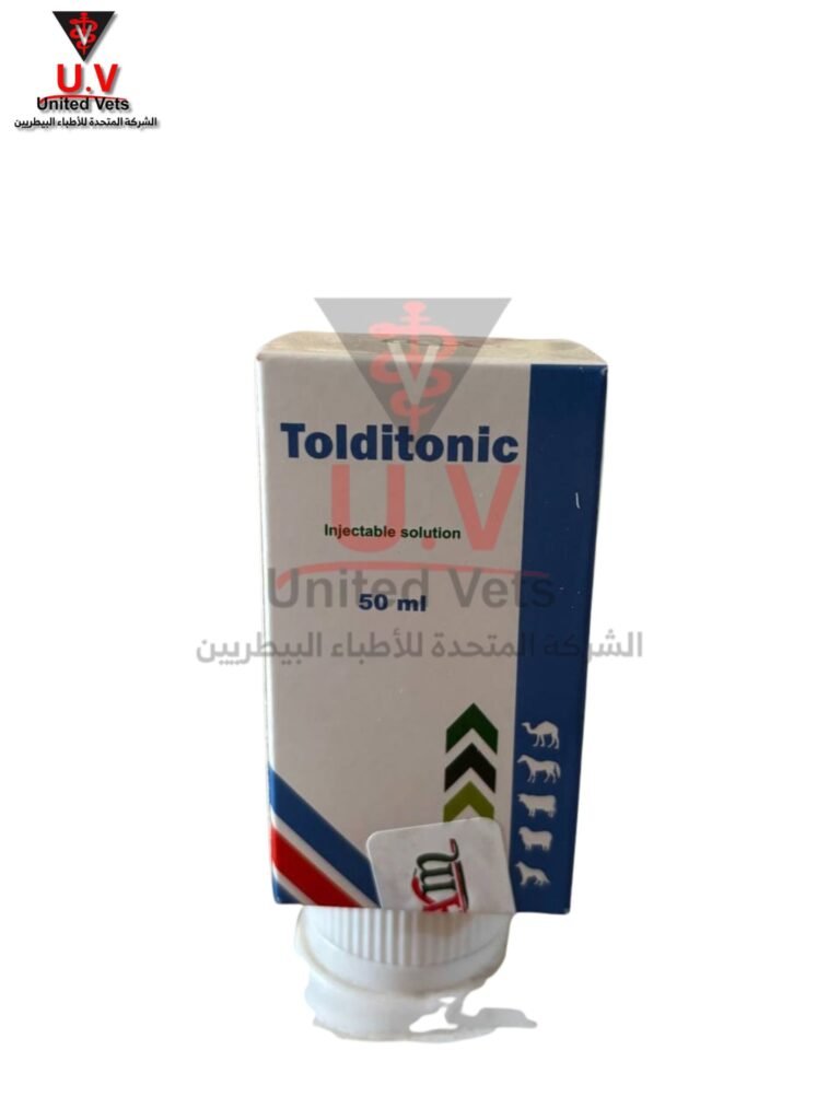 untitled design 2026 09 13t131840.416