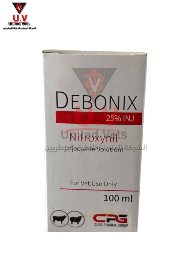 untitled design 2026 09 13t133418.395
