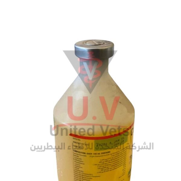 untitled design 2026 09 14t105336.681
