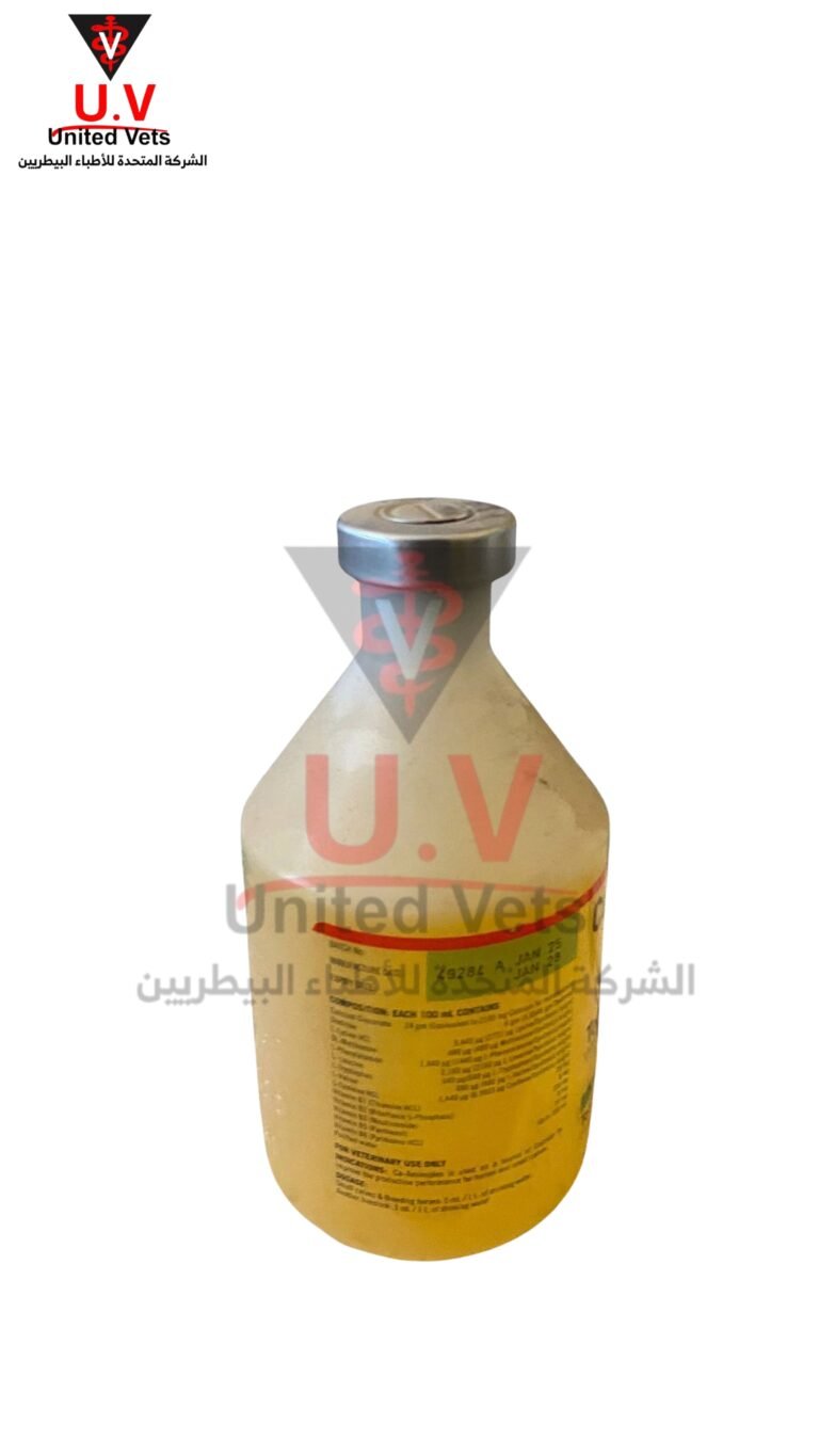 untitled design 2026 09 14t105336.681