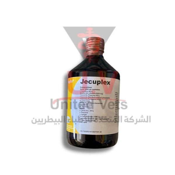 untitled design 2026 09 14t132031.708