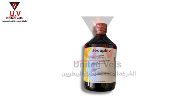 untitled design 2026 09 14t132031.708