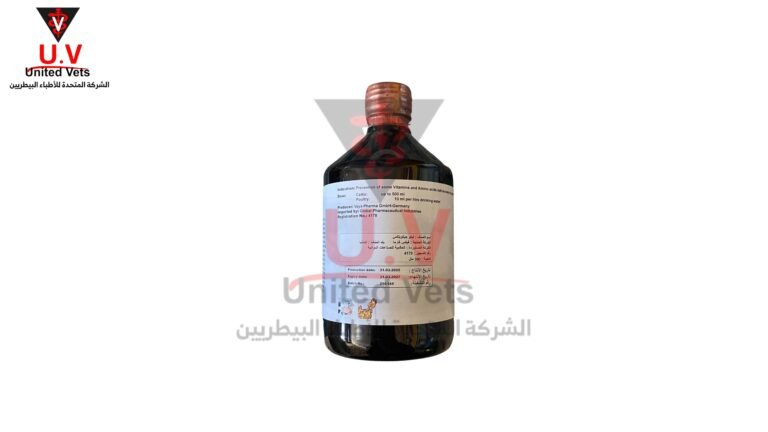 untitled design 2026 09 14t132038.724