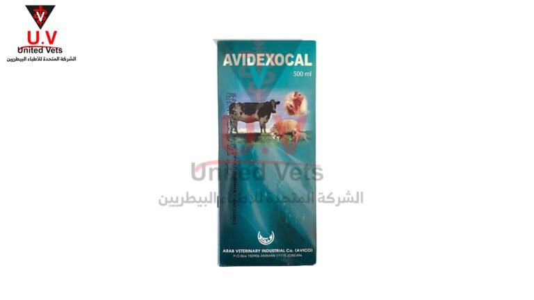 untitled design 2026 09 14t132104.186