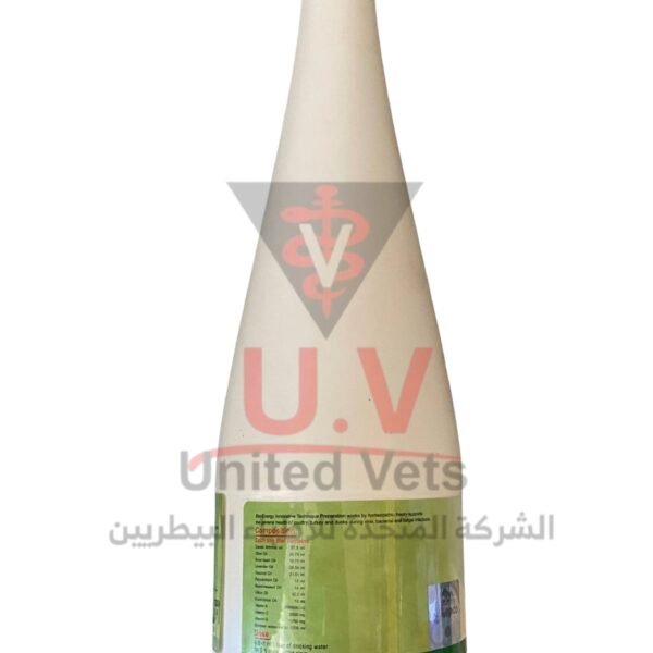 untitled design 2026 09 14t132632.658