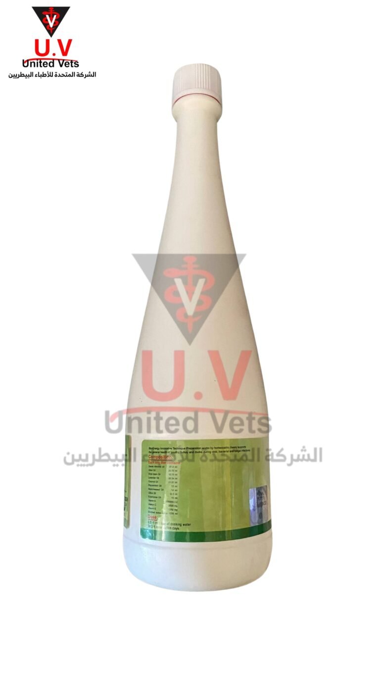 untitled design 2026 09 14t132632.658