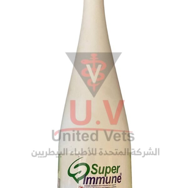 untitled design 2026 09 14t132645.695