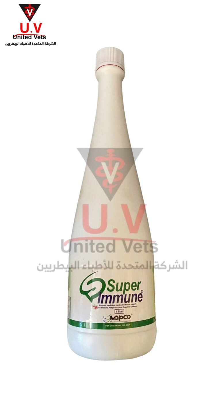 untitled design 2026 09 14t132645.695