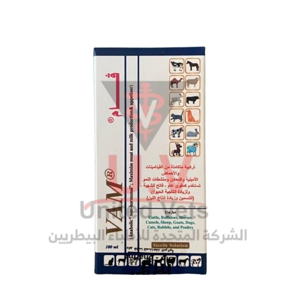 untitled design 2026 09 14t133328.685