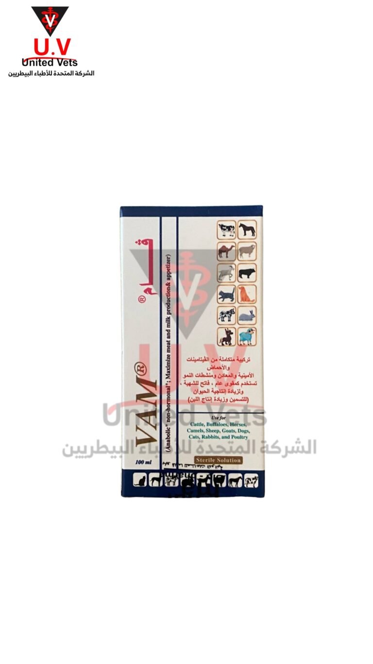 untitled design 2026 09 14t133328.685