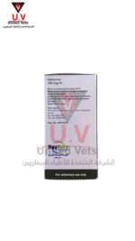 untitled design 2026 09 14t133357.661