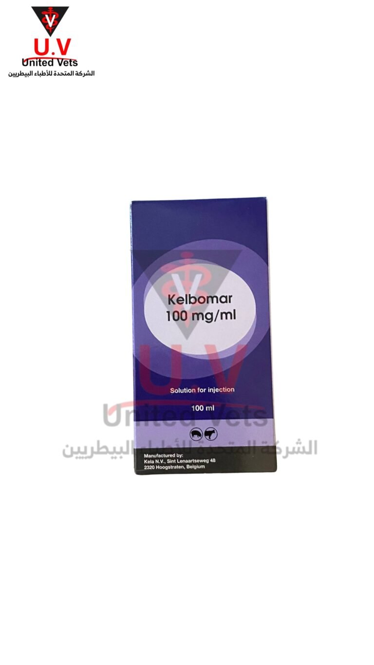 untitled design 2026 09 14t133411.839