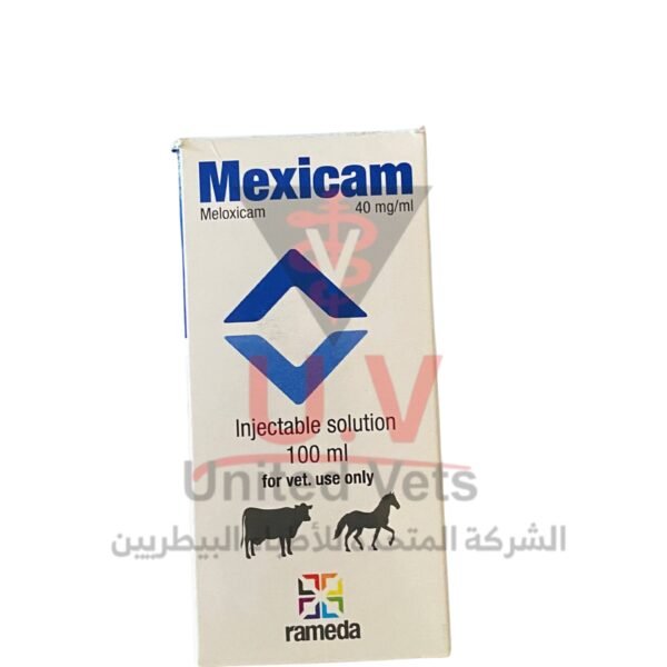 untitled design 2026 09 14t133428.387
