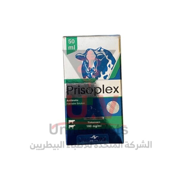 untitled design 2026 09 14t134219.748