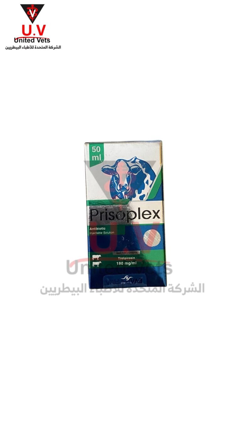 untitled design 2026 09 14t134219.748