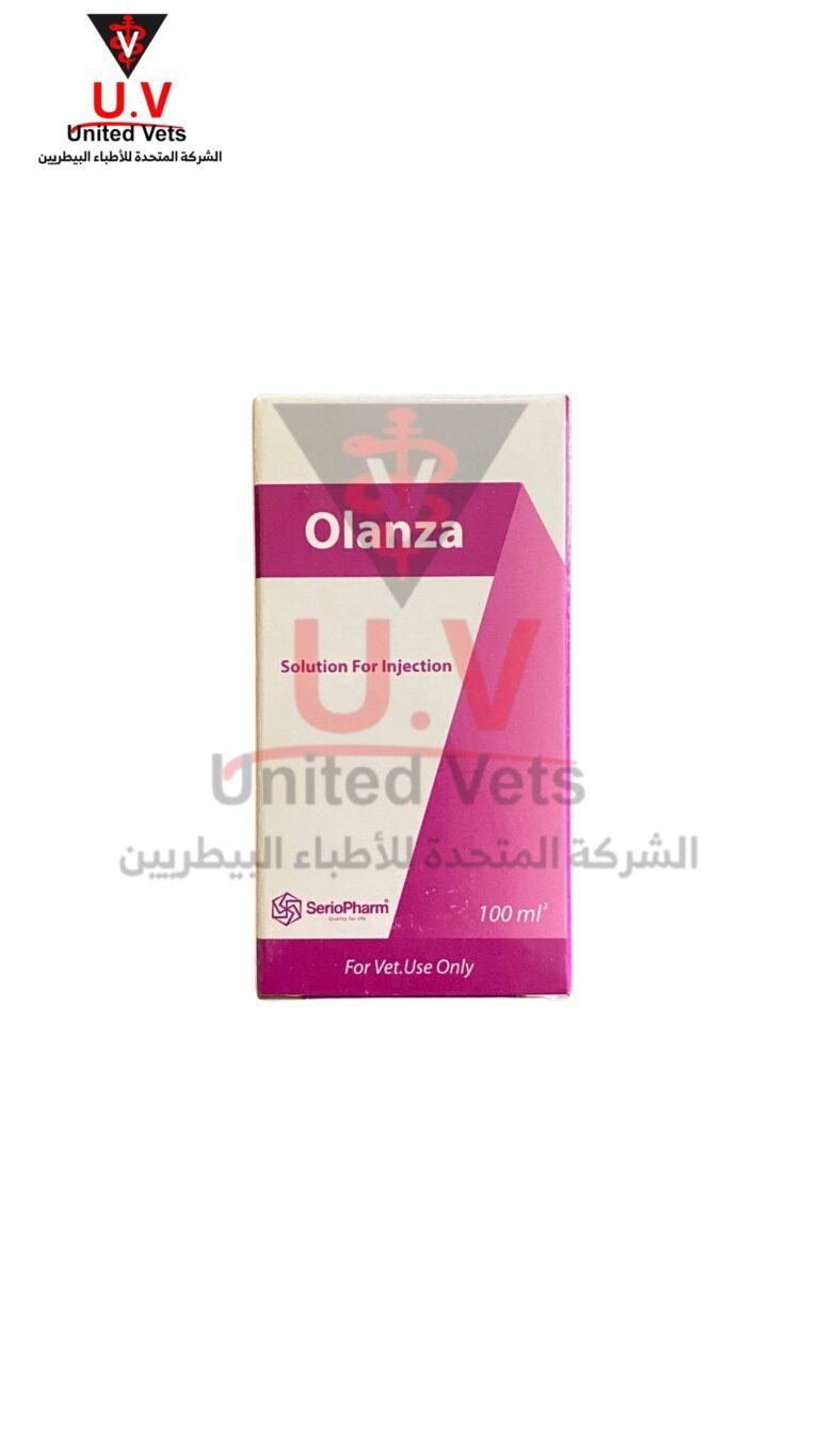 untitled design 2026 09 15t101024.672
