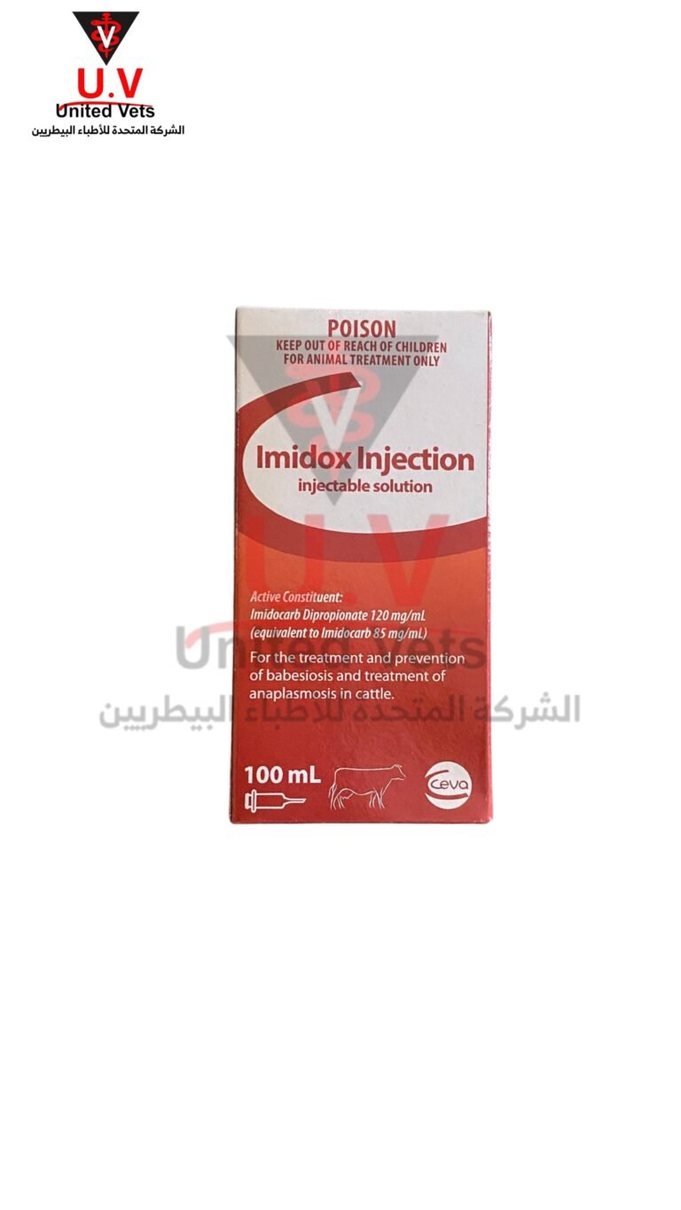 untitled design 2026 09 15t101044.691