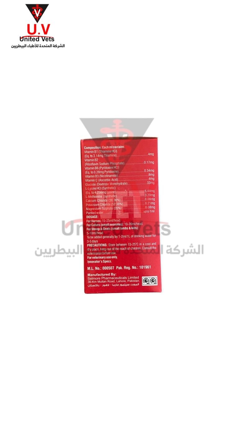 untitled design 2026 09 15t101829.588