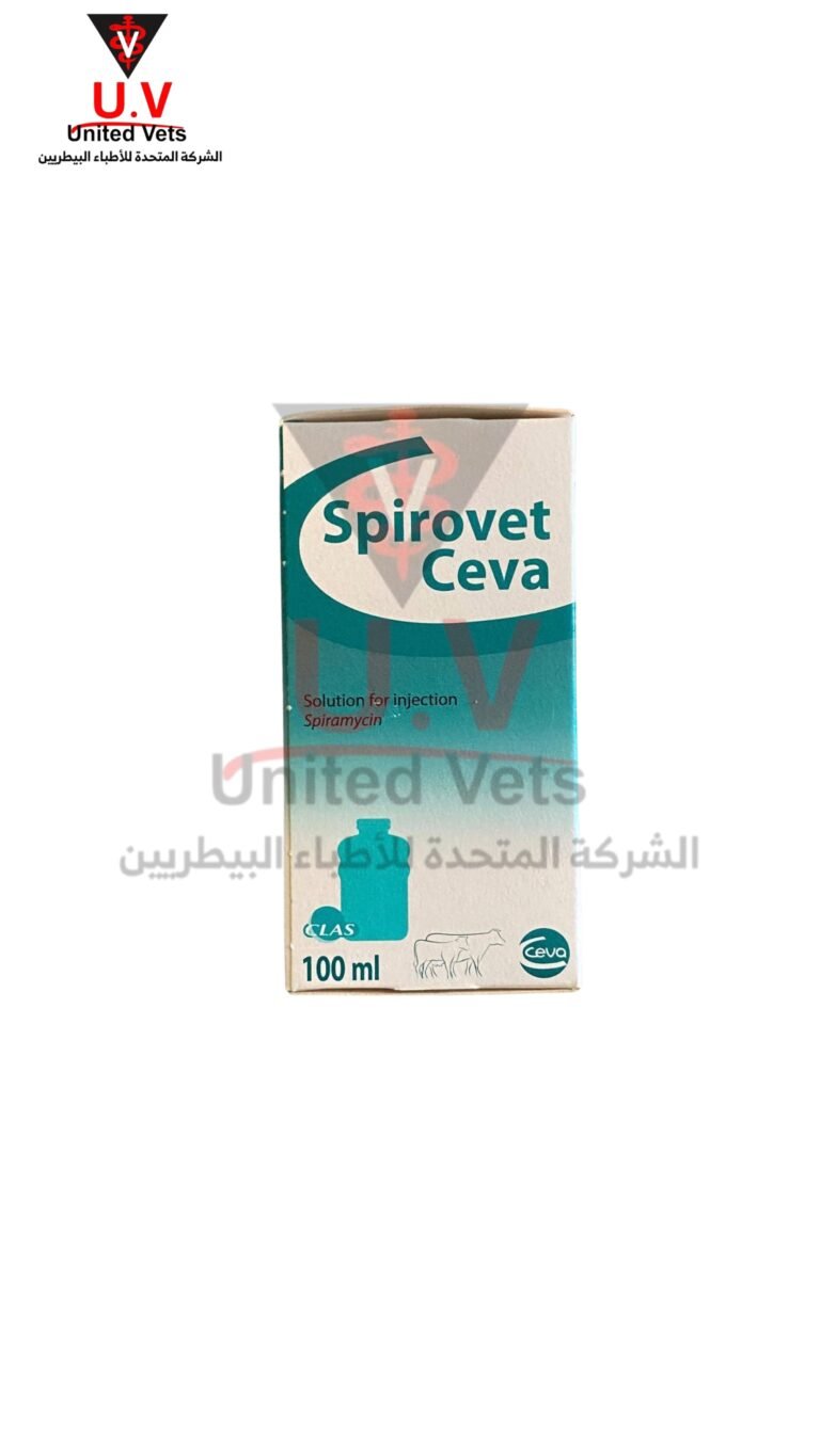 untitled design 2026 09 15t102432.561
