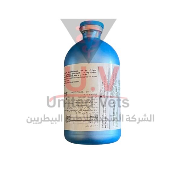 untitled design 2026 09 15t102442.669