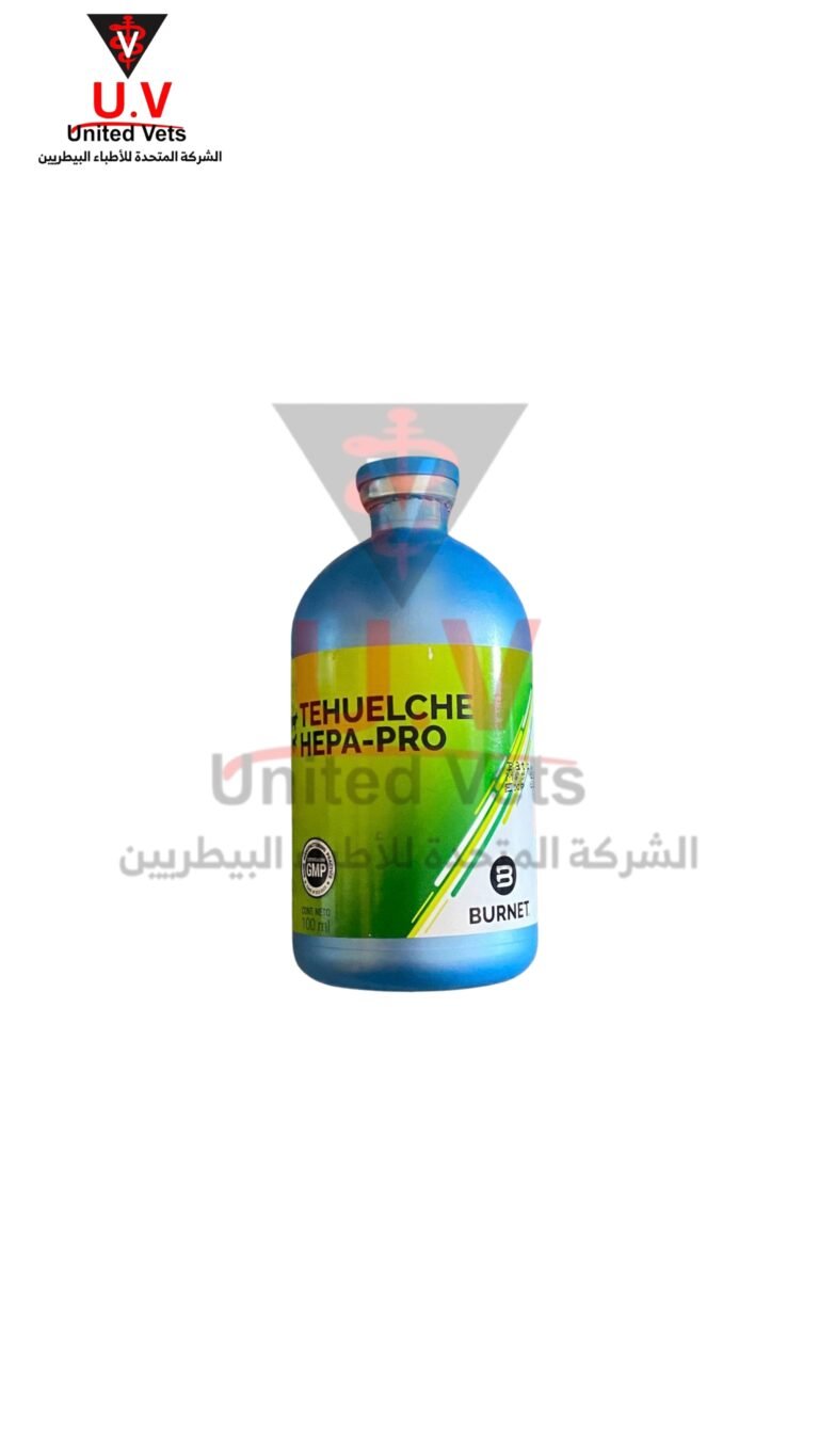 untitled design 2026 09 15t102447.672