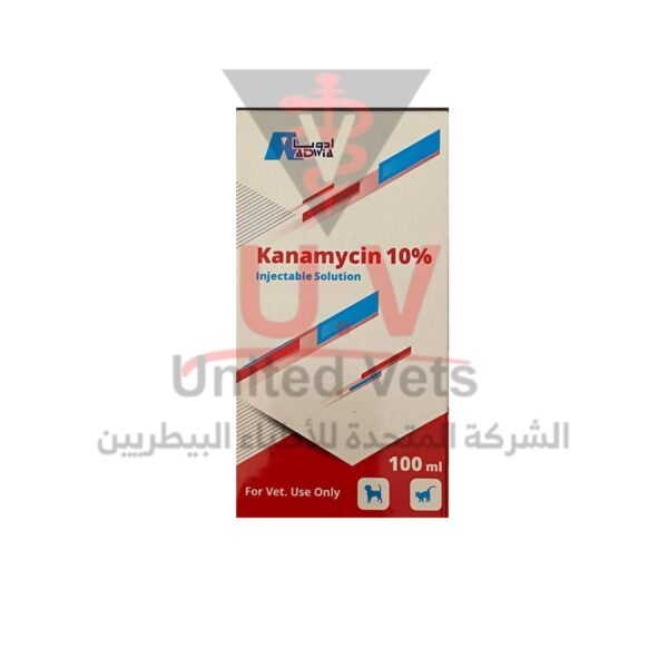 untitled design 2026 09 15t103228.559