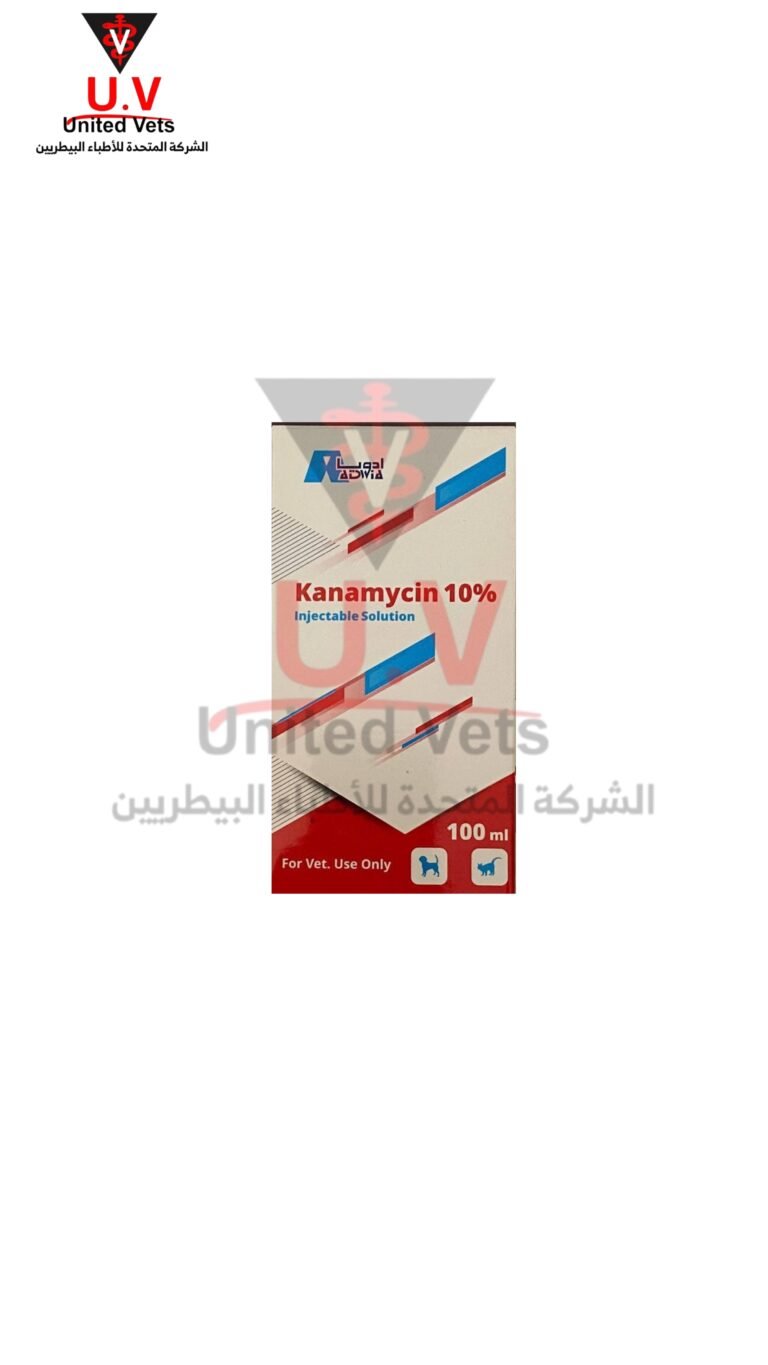 untitled design 2026 09 15t103228.559