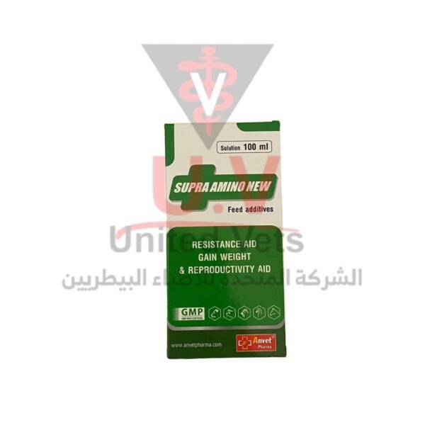 untitled design 2026 09 15t103303.593