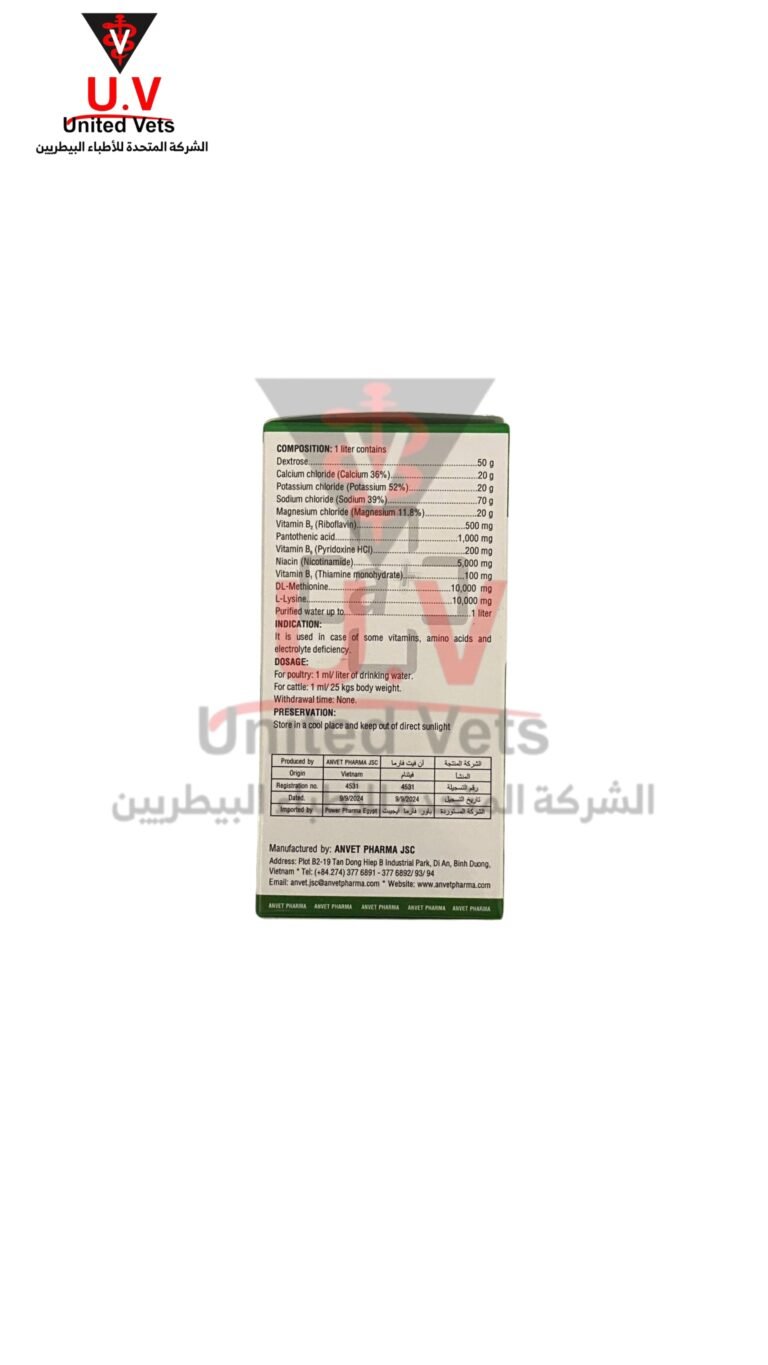 untitled design 2026 09 15t103310.574